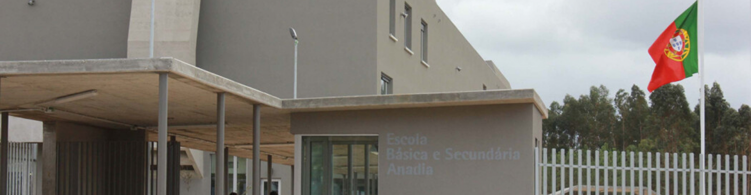 Escola Primária e Secundária da Anadia