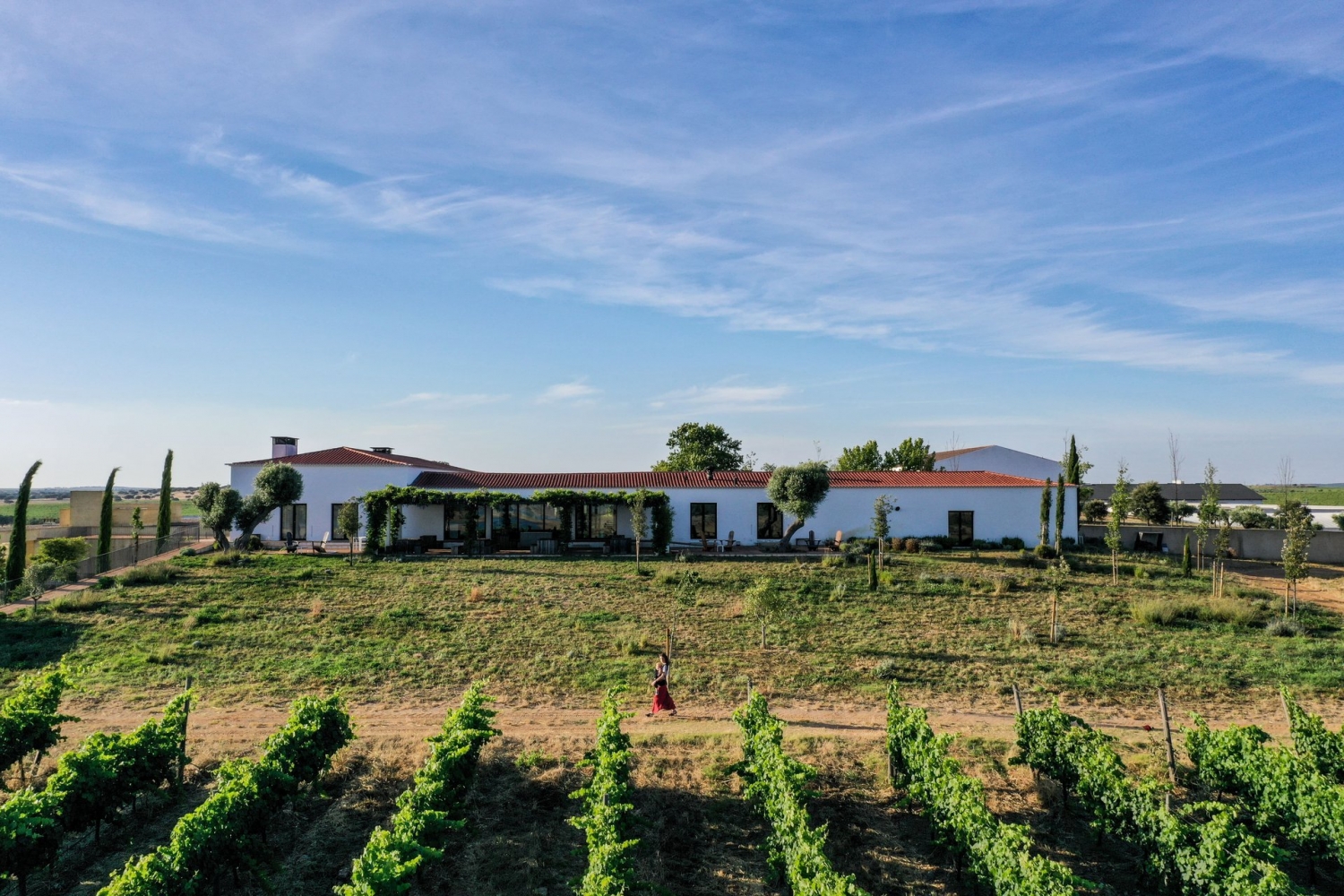 Herdade do Esporão, Enoturismo 